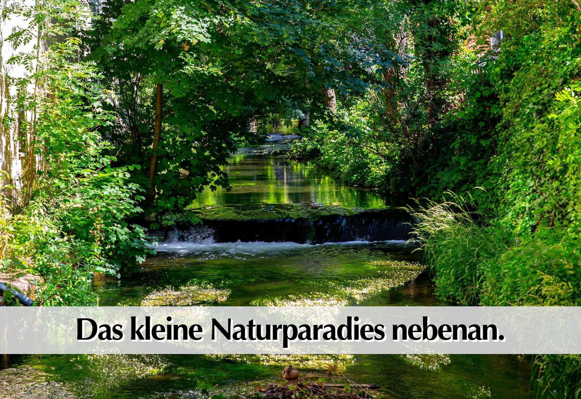 Stadtperle Am Plaetschernden Wasser - 50m2 2r Malerische In Lage
